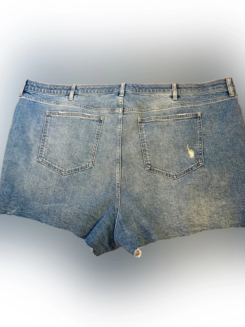 torrid Blue Distressed Denim Shorts
